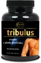 4Slim  Tribulus Terrestris Fruit 500 mg 90 kapslí