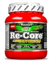 Amix Nutrition  Re-Core concentrated 540 g