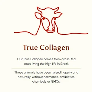 Ancient+Brave  Cacao + Grass Fed Collagen 250 g