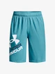 Chlapčenské šortky Under Armour  Prototype 2.0 Logo Shorts-BLU S