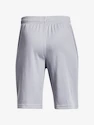 Chlapčenské šortky Under Armour  Prototype 2.0 Logo Shorts gray