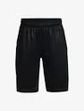 Chlapčenské šortky Under Armour  Renegade 3.0 PRTD Shorts-BLK S