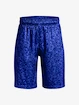 Chlapčenské šortky Under Armour  Renegade 3.0 PRTD Shorts-BLU