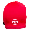 Čiapka Warrior  Team Beanie