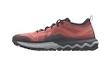 Dámska bežecká obuv Mizuno Wave Ibuki 4 Gtx Lantana/Quiet Shade/Bluebird  UK 6