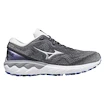 Dámska bežecká obuv Mizuno  Wave Skyrise Wave Skyrise 2 / Blackened Pearl / Silver / Antarctica  UK 7,5