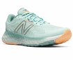 Dámska bežecká obuv New Balance Fresh Foam EVOZ v1