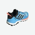 Dámska outdoorová obuv adidas  Terrex Skychaser 2 GTX W Blue