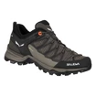 Dámska outdoorová obuv Salewa  WS MTN Trainer Lite GTX