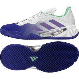 Dámska tenisová obuv adidas Barricade W Clay Blue/Violet