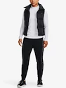 Dámska vesta Under Armour  Vesta Storm CGI Down Storm Vest-BLK