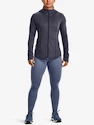 Dámske legíny Under Armour  Meridian CW Legging-PPL