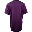 Detské tričko Endurance  Parbin Unisex Melange SS Tee Purple