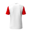 Detské tričko Head  CLUB 25 Tech T-Shirt Boys Red/White