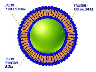 Ekolife Natura  Liposomal Vitamin D3 (Lipozomální vitamín D3) 60 ml