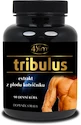 EXP 4Slim  Tribulus Terrestris Fruit 500 mg 90 kapslí