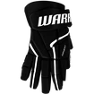 Hokejové rukavice Warrior Covert QR5 40 Black  Junior