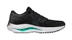 Pánska bežecká obuv Mizuno  Wave Inspire 19 2E Black/Metallic Gray/Biscay Green