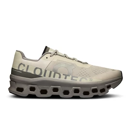 Pánska bežecká obuv On Cloudmonster Ice/Alloy