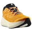 Pánska bežecká obuv Salomon Aero Glide 3 Turmeric/White/Black