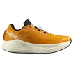 Pánska bežecká obuv Salomon Aero Glide 3 Turmeric/White/Black