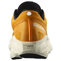 Pánska bežecká obuv Salomon Aero Glide 3 Turmeric/White/Black