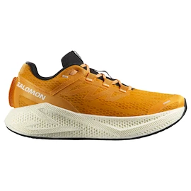 Pánska bežecká obuv Salomon Aero Glide 3 Turmeric/White/Black