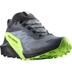 Pánska bežecká obuv Salomon  GTX Flint/Black/Grgeck