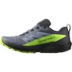 Pánska bežecká obuv Salomon  GTX Flint/Black/Grgeck