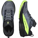 Pánska bežecká obuv Salomon  GTX Flint/Black/Grgeck