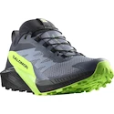 Pánska bežecká obuv Salomon  GTX Flint/Black/Grgeck