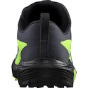 Pánska bežecká obuv Salomon  GTX Flint/Black/Grgeck