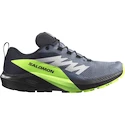 Pánska bežecká obuv Salomon  GTX Flint/Black/Grgeck