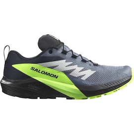 Pánska bežecká obuv Salomon GTX Flint/Black/Grgeck