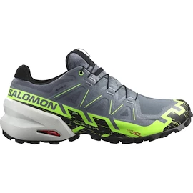 Pánska bežecká obuv Salomon GTX Flint/Grgeck/Black