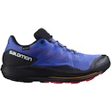 Pánska bežecká obuv Salomon Pulsar Trail GTX Dazzling Blue  UK 11