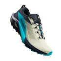 Pánska bežecká obuv Salomon Sense Ride 5 Alfalfa / Carbon / Peacock Blue