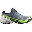 Pánska bežecká obuv Salomon Speedcross 6 Gtx Flint/Grgeck/Black  UK 9,5