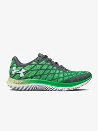 Pánska bežecká obuv Under Armour FLOW Velociti Wind 2-GRY