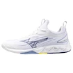 Pánska halová obuv Mizuno  Wave LUMINOUS 3 White/Bellwether Blue