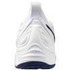 Pánska halová obuv Mizuno  Wave MOMENTUM 3 White/Bellwether Blue