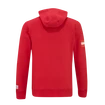 Pánska mikina CCM  FLAG HOODIE TEAM AUSTRIA Red