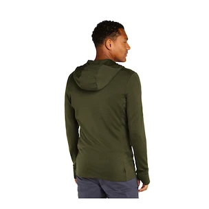 Pánska mikina Icebreaker Merino 260 Quantum IV LS Zip Hoodie Loden