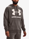 Pánska mikina Under Armour  Rival Fleece Big Logo HD-BRN