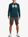 Pánska mikina Under Armour  Rival Terry Logo Hoodie-GRN