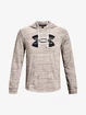 Pánska mikina Under Armour  Rival Terry Logo Hoodie-WHT