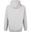 Pánska mikina Virtus  Oralie Hoody grey