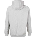 Pánska mikina Virtus  Oralie Hoody grey