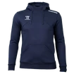 Pánska mikina Warrior Alpha X Aspire Hoody