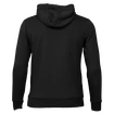 Pánska mikina Warrior Alpha X Aspire Hoody